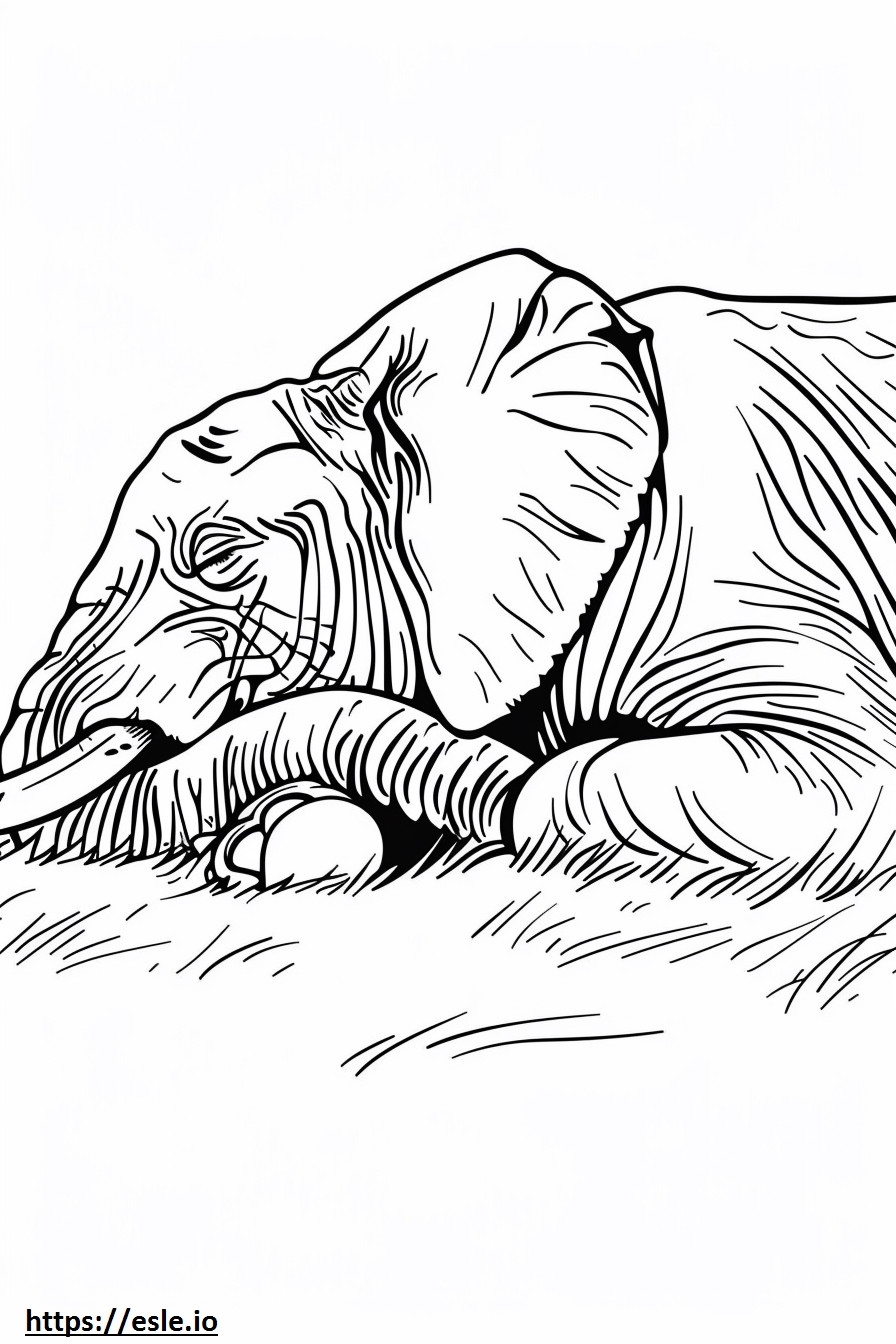 Afrikai bokor elefánt alszik szinező
