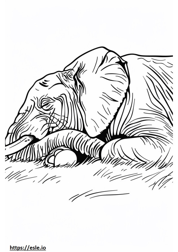 Afrikanischer Buschelefant schläft ausmalbild