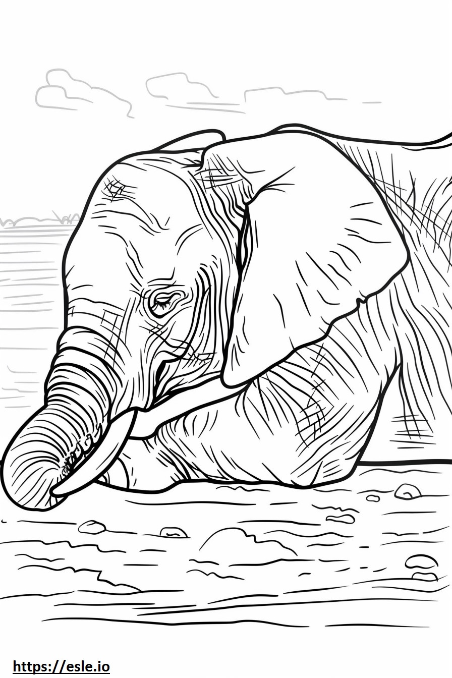 Gajah Semak Afrika Tidur gambar mewarnai