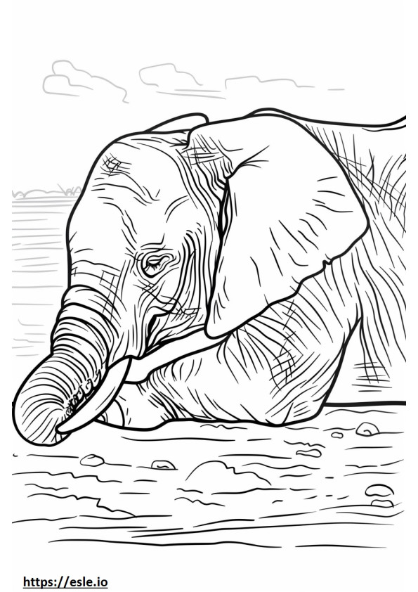 Afrikaanse struikolifant slaapt kleurplaat