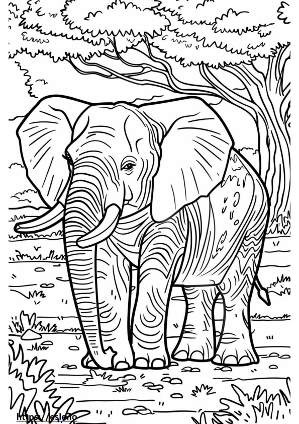 Afrikkalainen pensaselefantti leikkii värityskuva