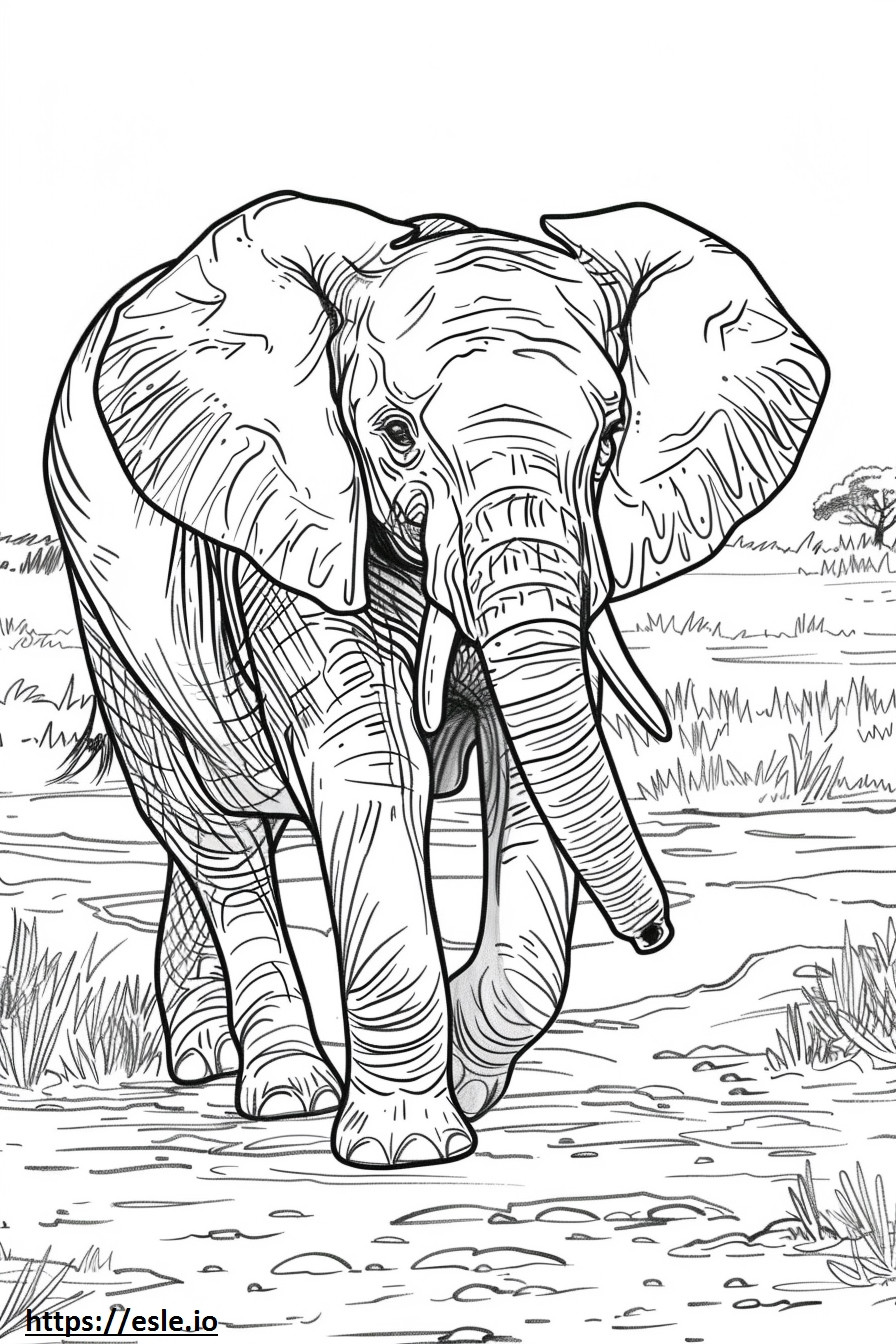 Afrikanischer Buschelefant Kawaii ausmalbild