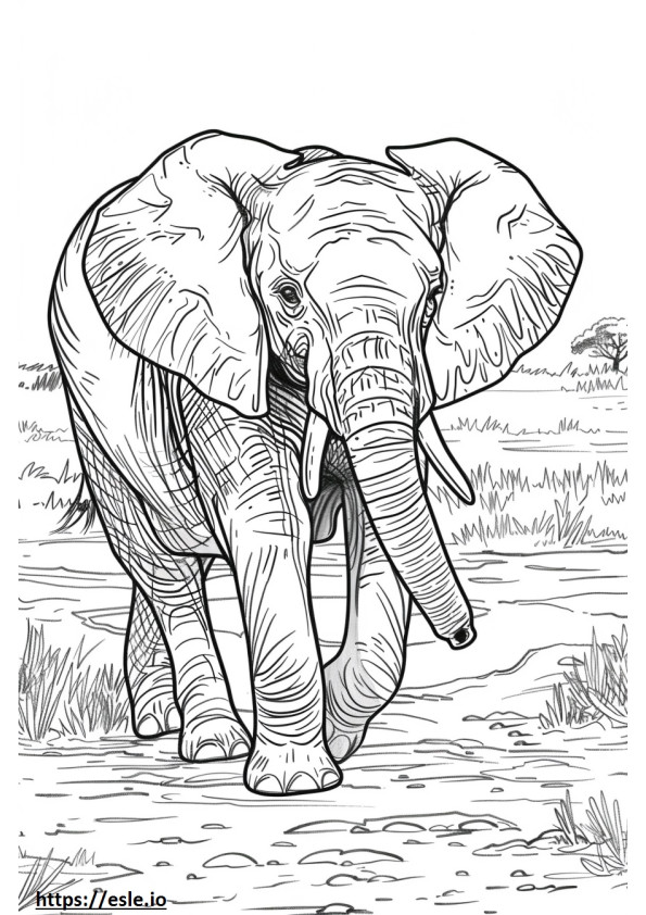 Słoń afrykański Kawaii kolorowanka