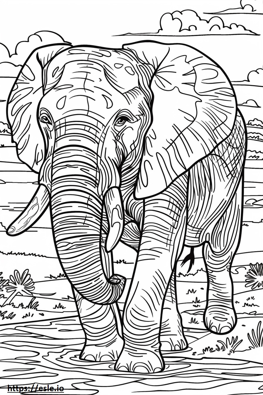 African Bush Elephant ystävällinen värityskuva