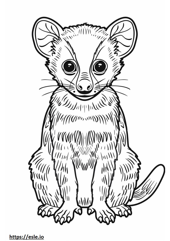 African Civet cute coloring page