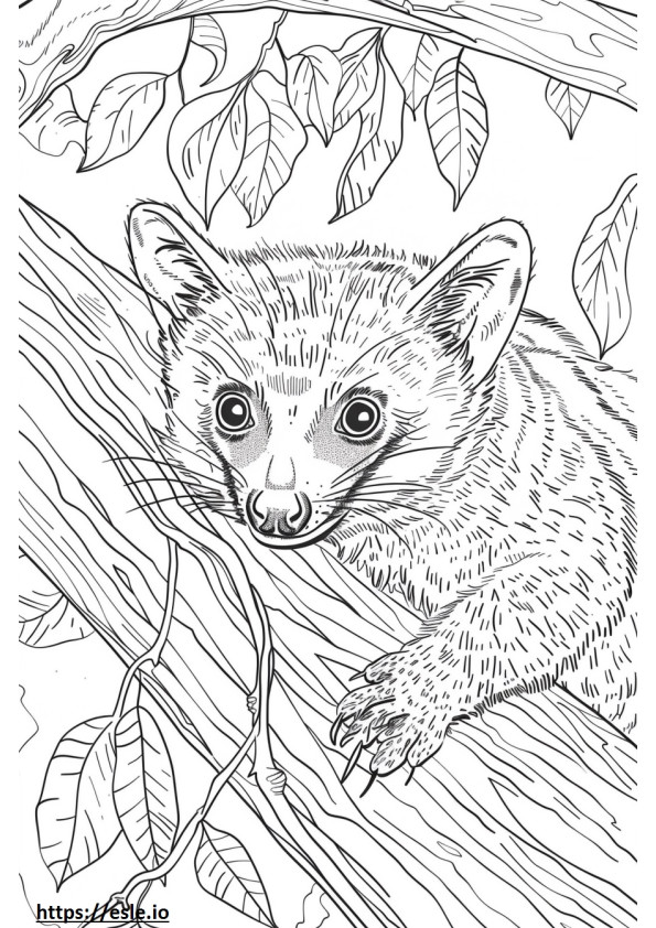 African Civet happy coloring page