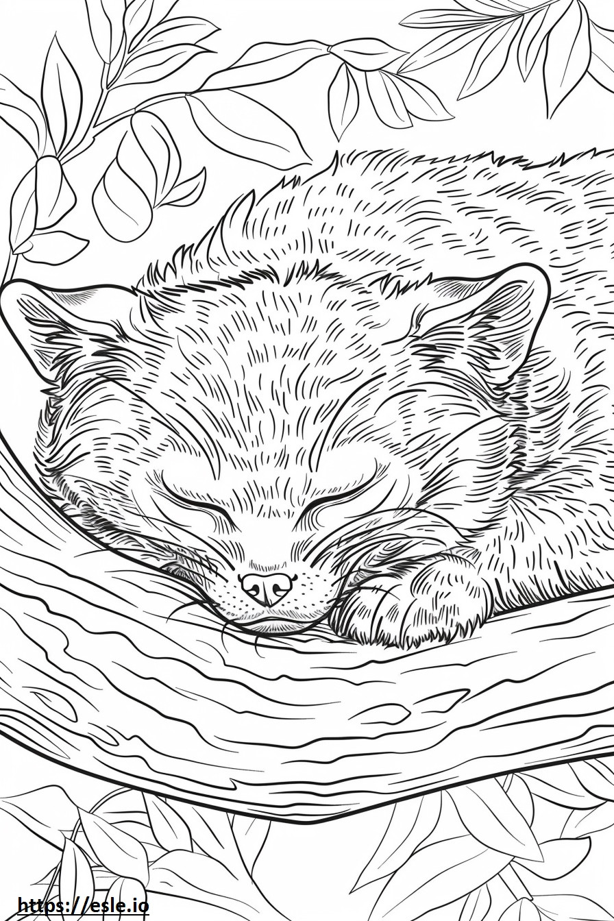 アフリカジャコウネコの睡眠 ぬりえ - 塗り絵