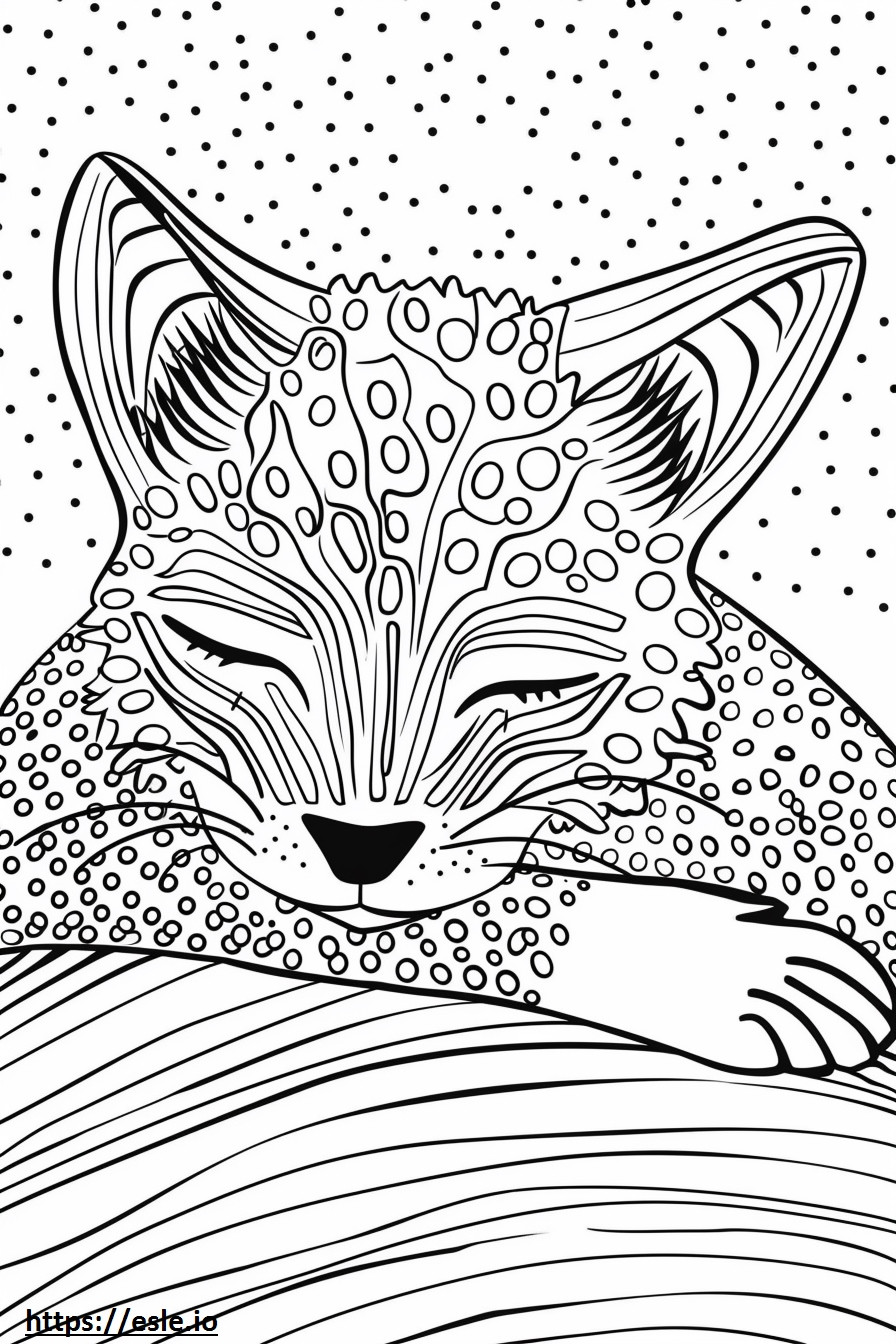 アフリカジャコウネコの睡眠 ぬりえ - 塗り絵