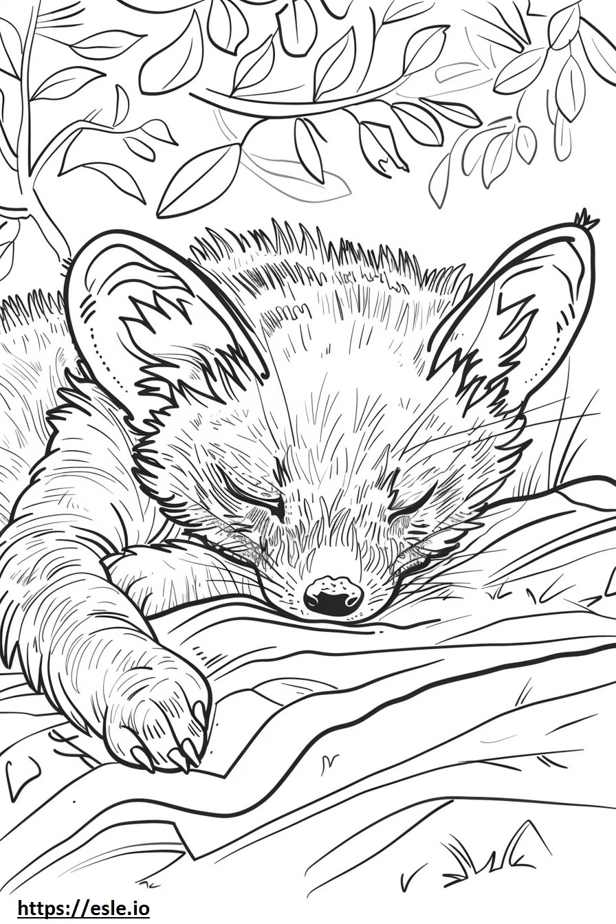 African Civet Sleeping coloring page