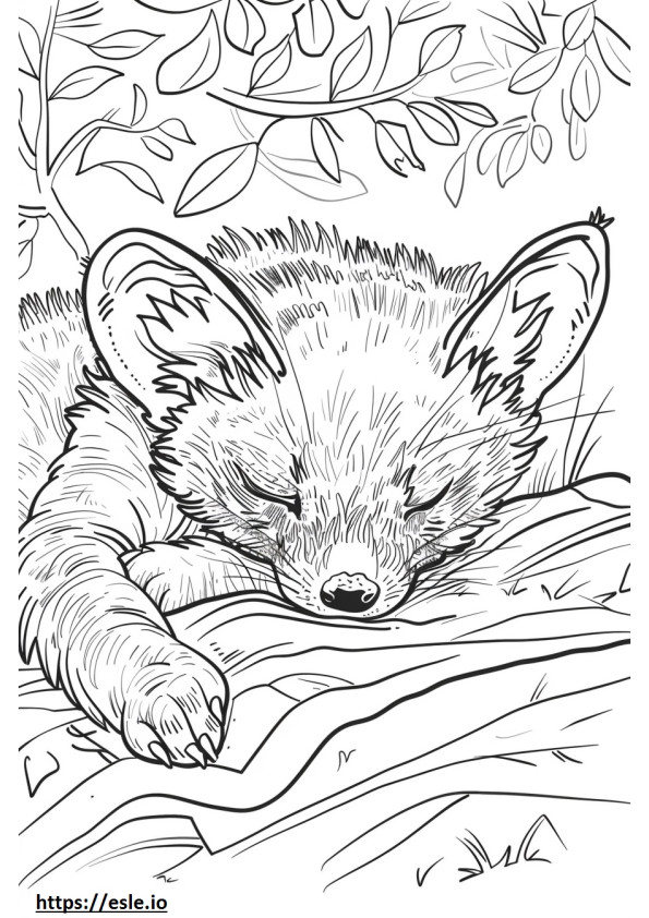 African Civet Sleeping coloring page