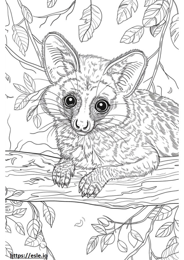 African Civet Kawaii coloring page