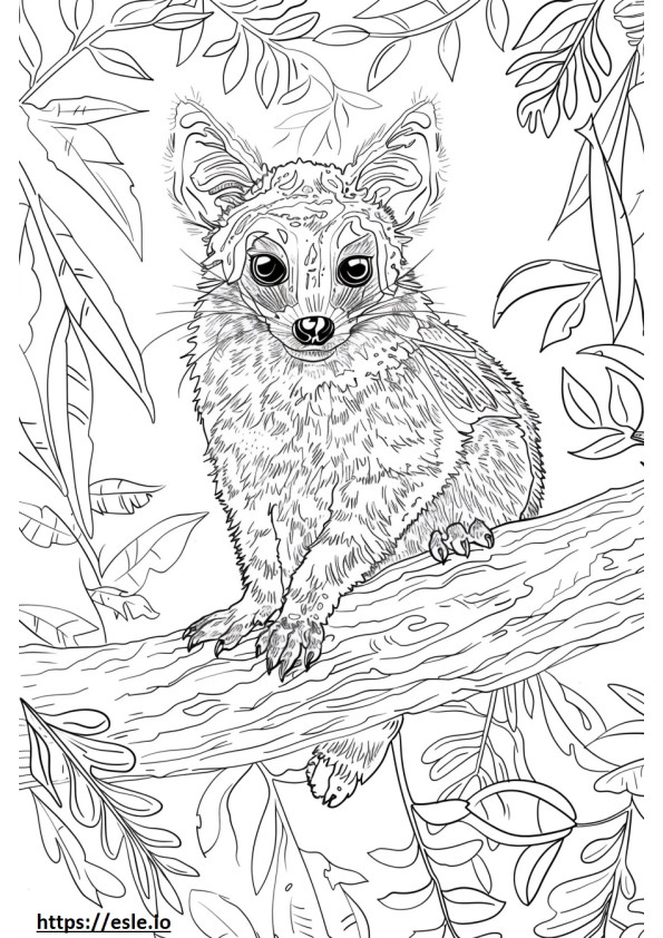 African Civet Friendly coloring page