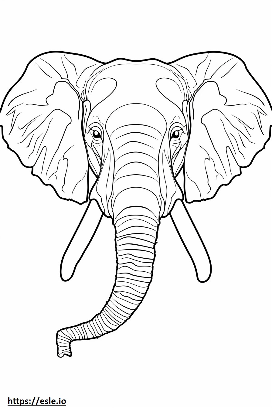 Gezicht van de Afrikaanse bosolifant kleurplaat kleurplaat