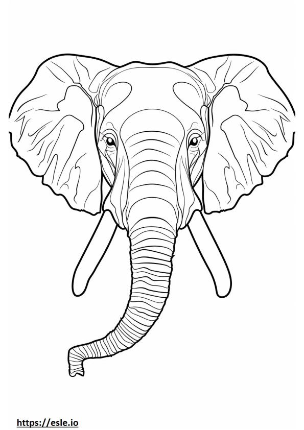 Cara de elefante da floresta africana para colorir