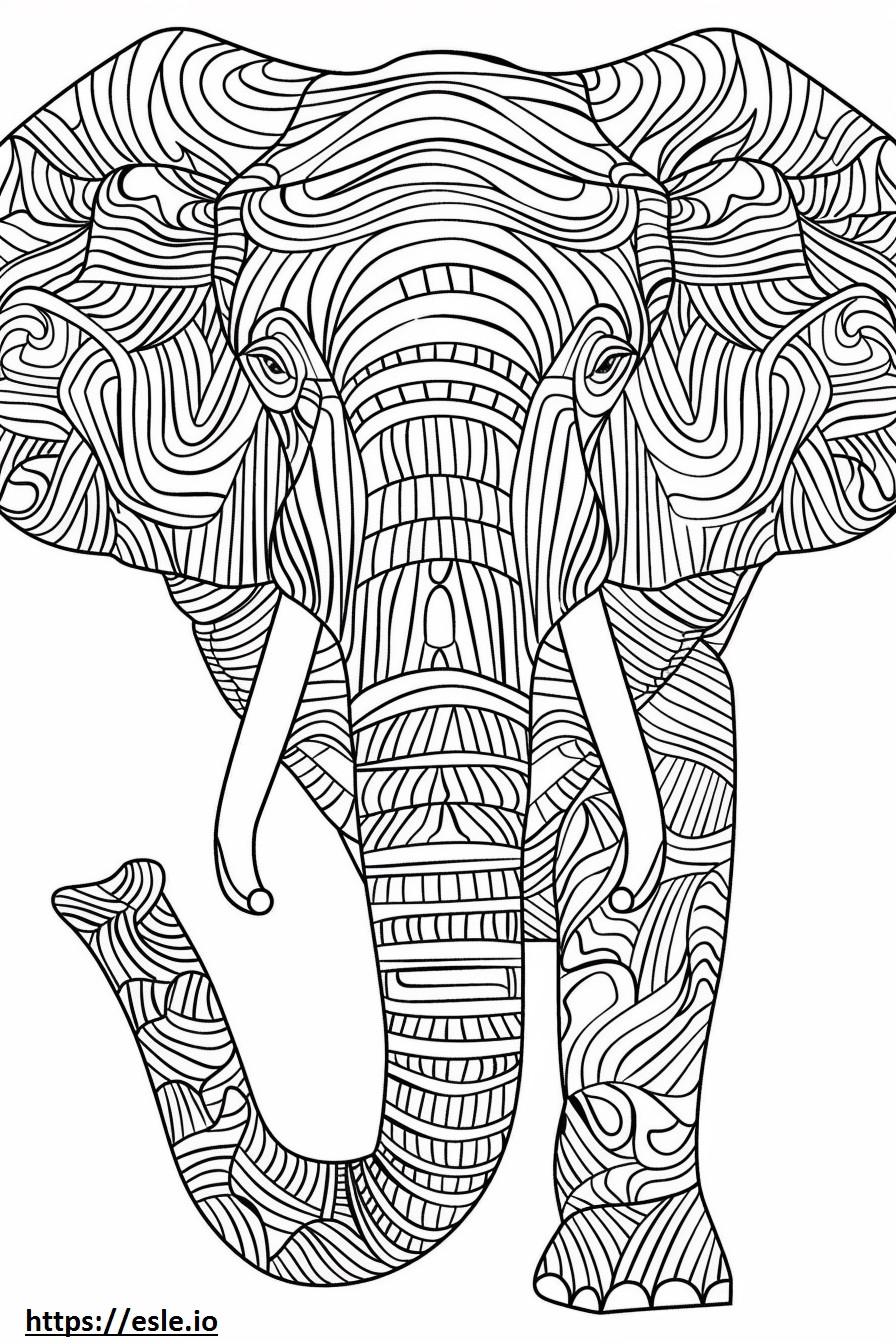 Cara de elefante da floresta africana para colorir