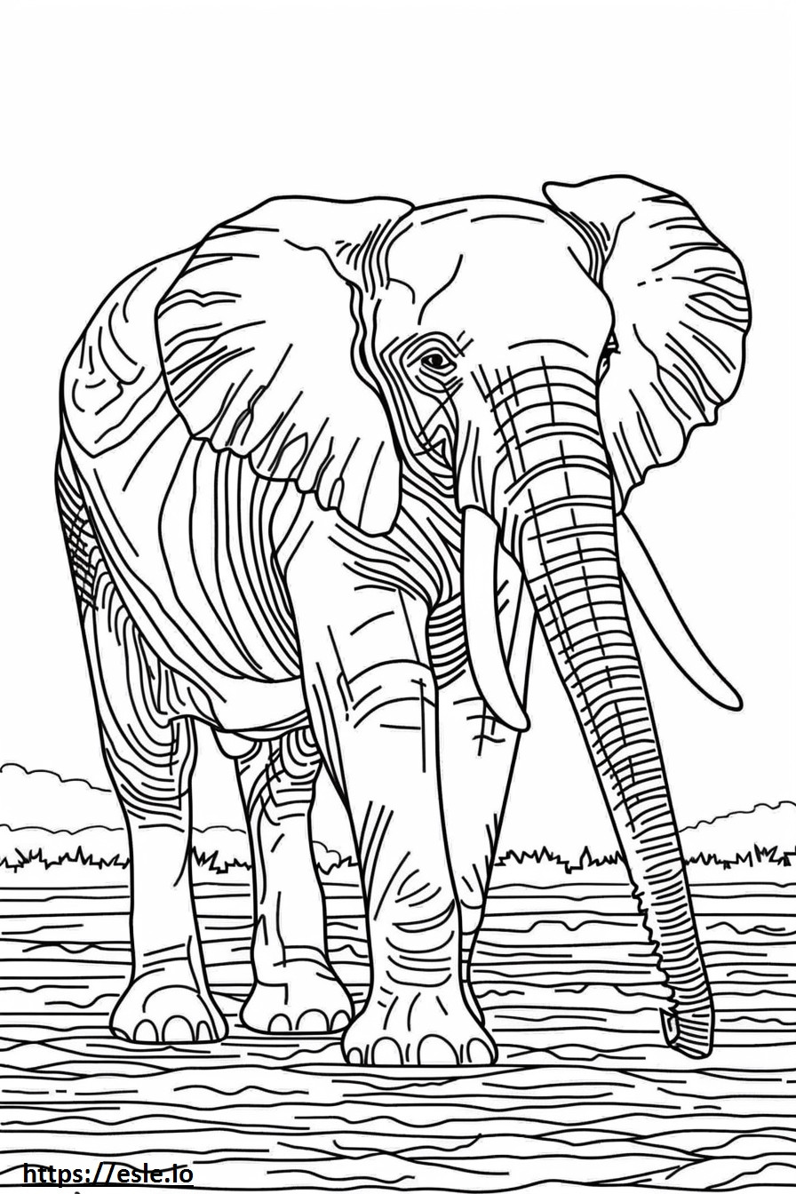 Volledige lichaam van de Afrikaanse bosolifant kleurplaat kleurplaat