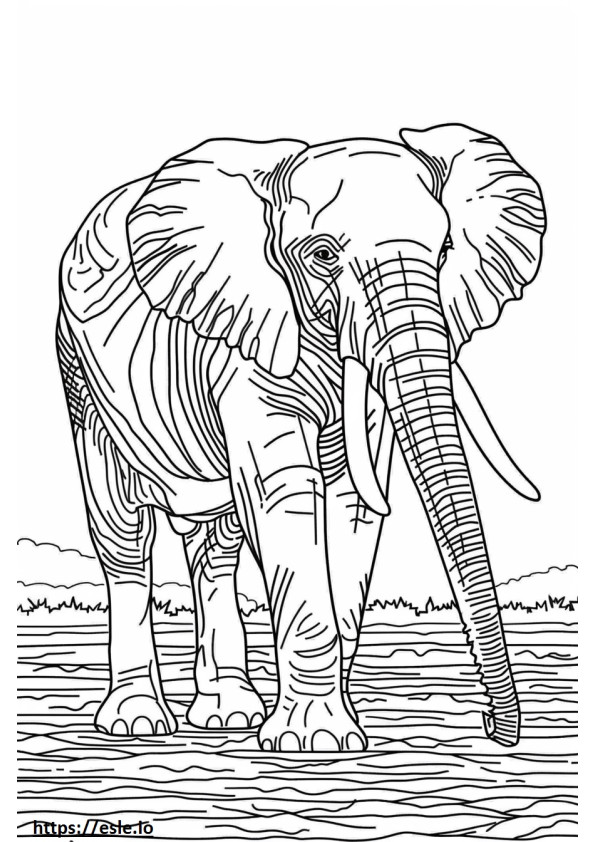 Elefant african de pădure cu corp întreg de colorat