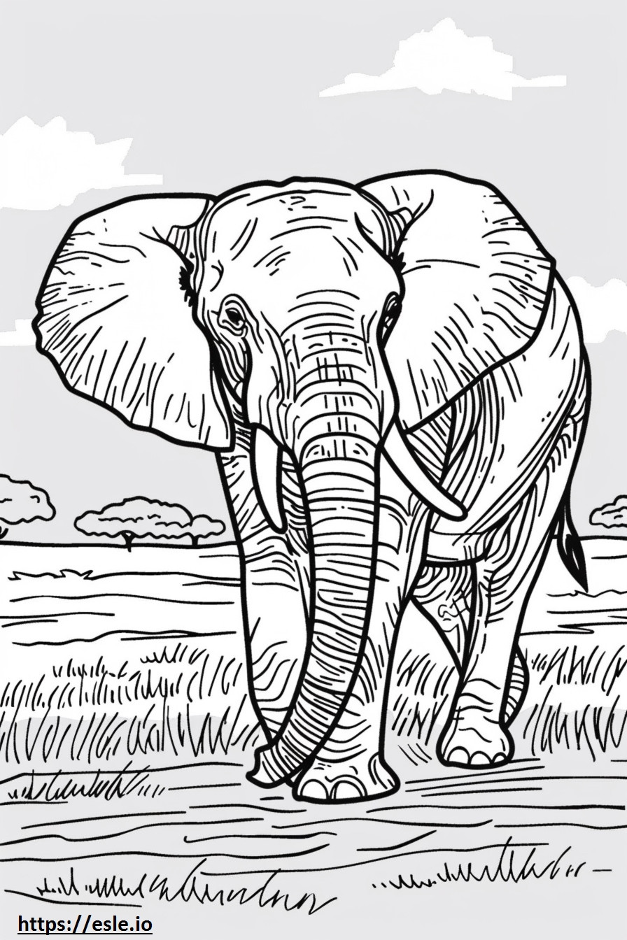 African Forest Elephant full body coloring page