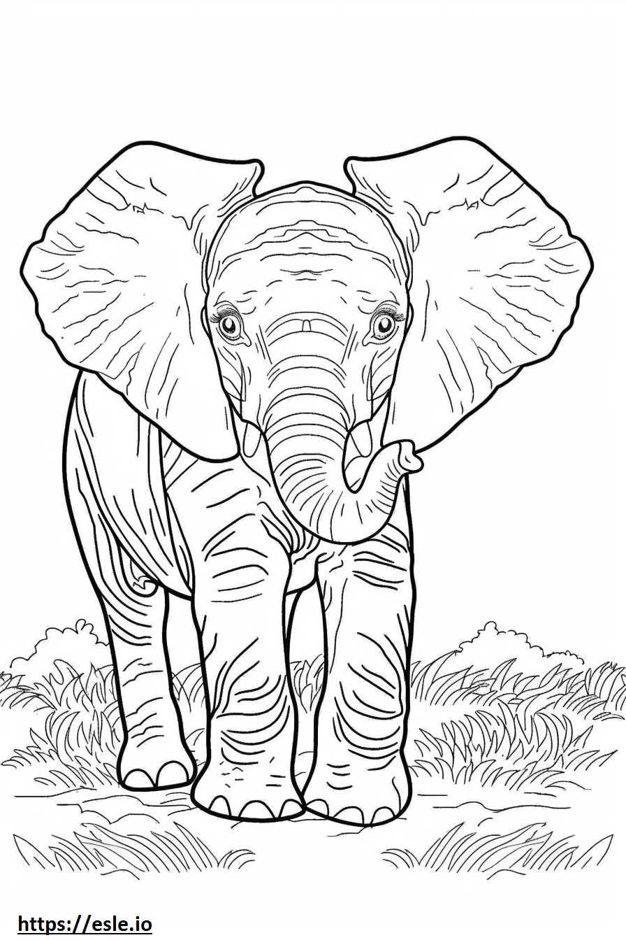 Bebé elefante del bosque africano para colorear e imprimir