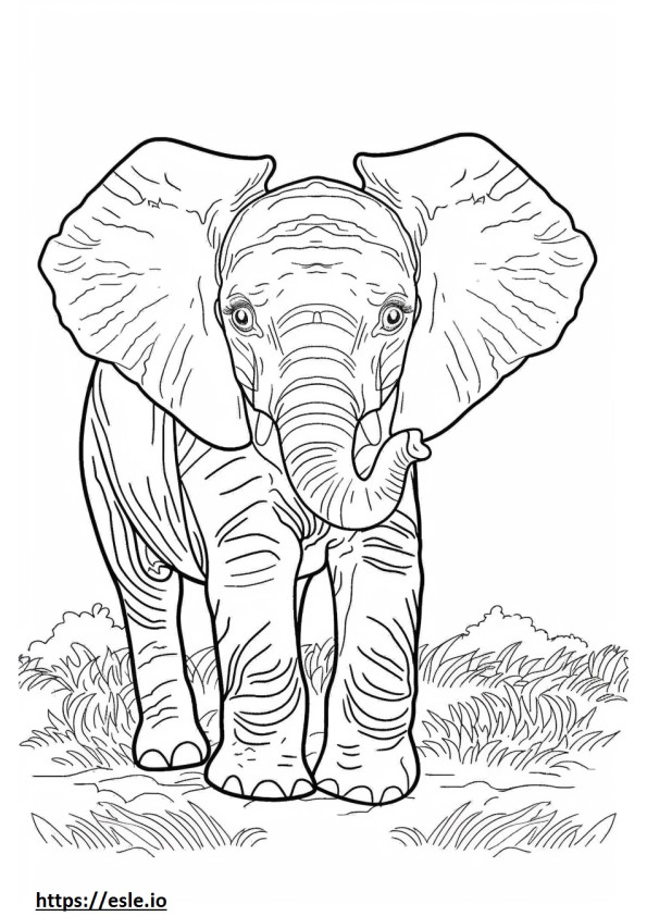 Afrikanisches Waldelefantenbaby ausmalbild
