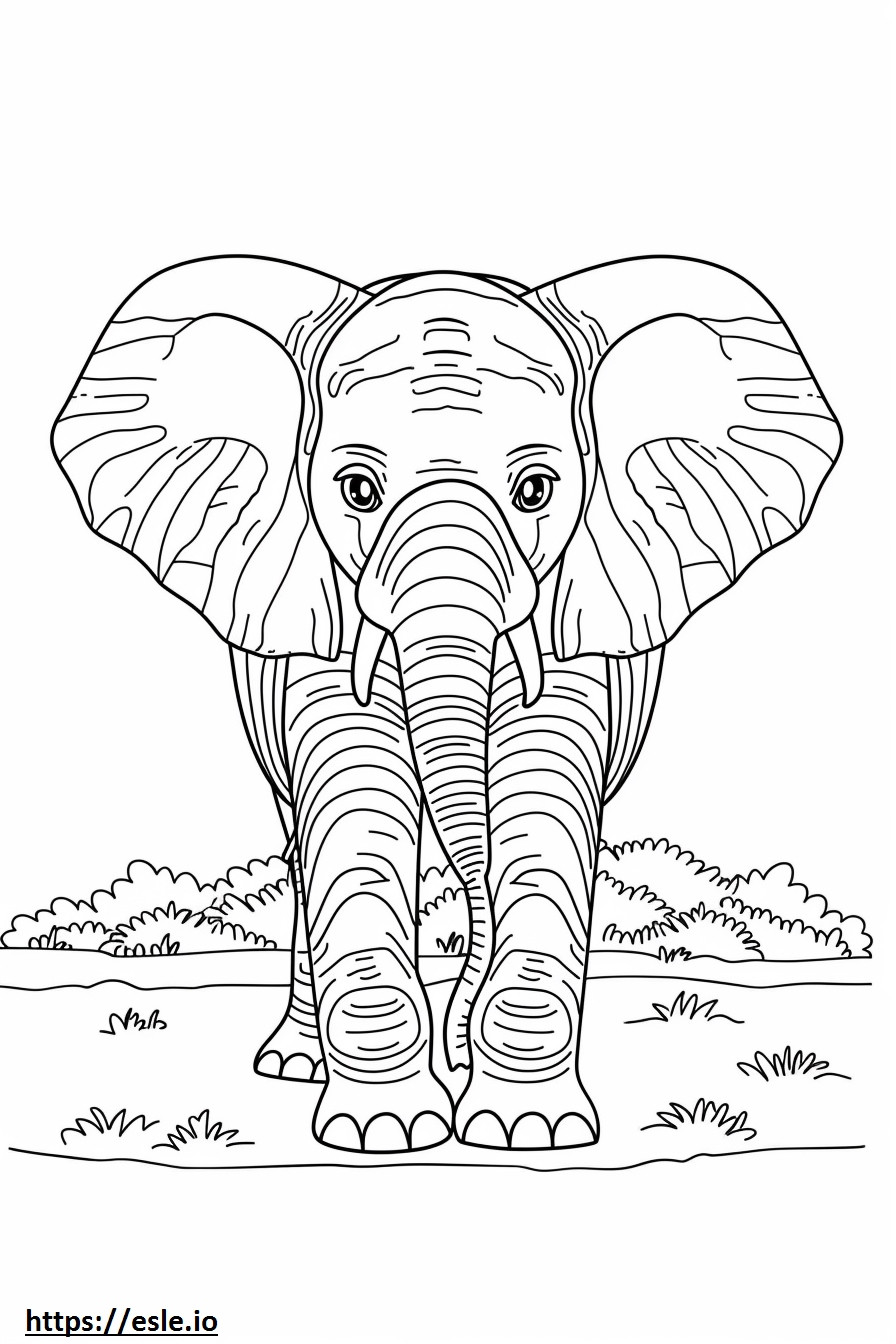 Bebé elefante del bosque africano para colorear e imprimir