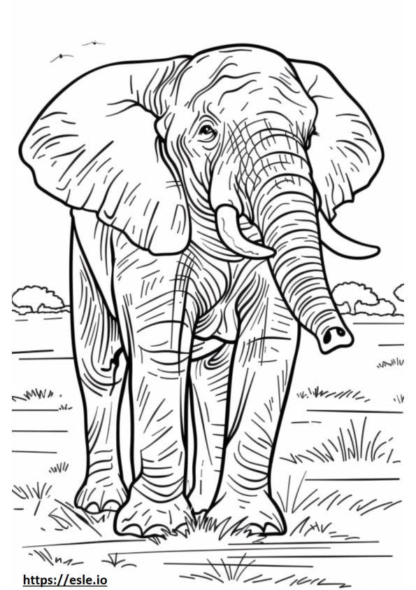 Cartone animato di elefante africano della foresta da colorare