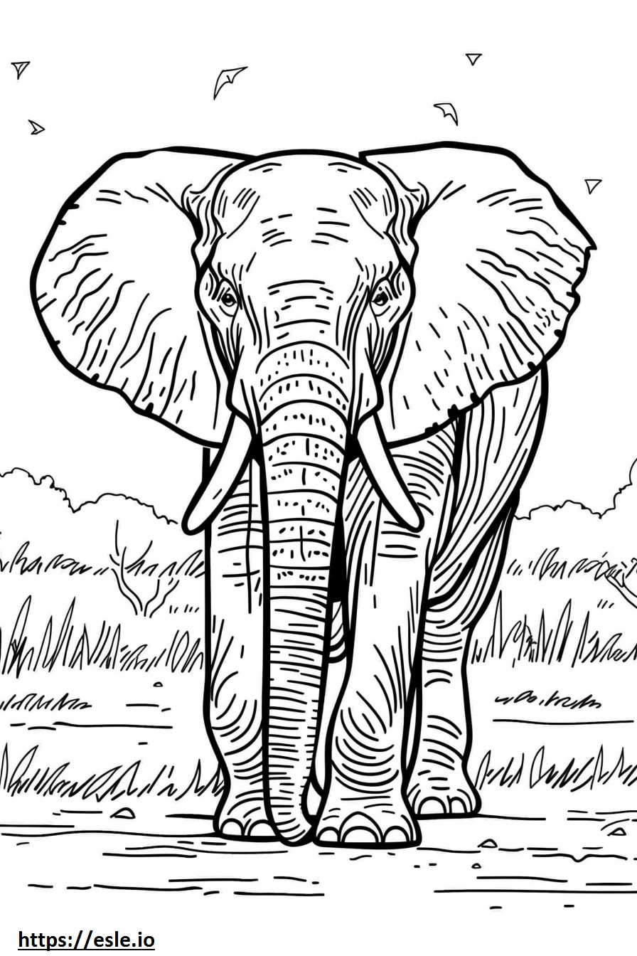 Kreskówka afrykańskiego słonia leśnego kolorowanka