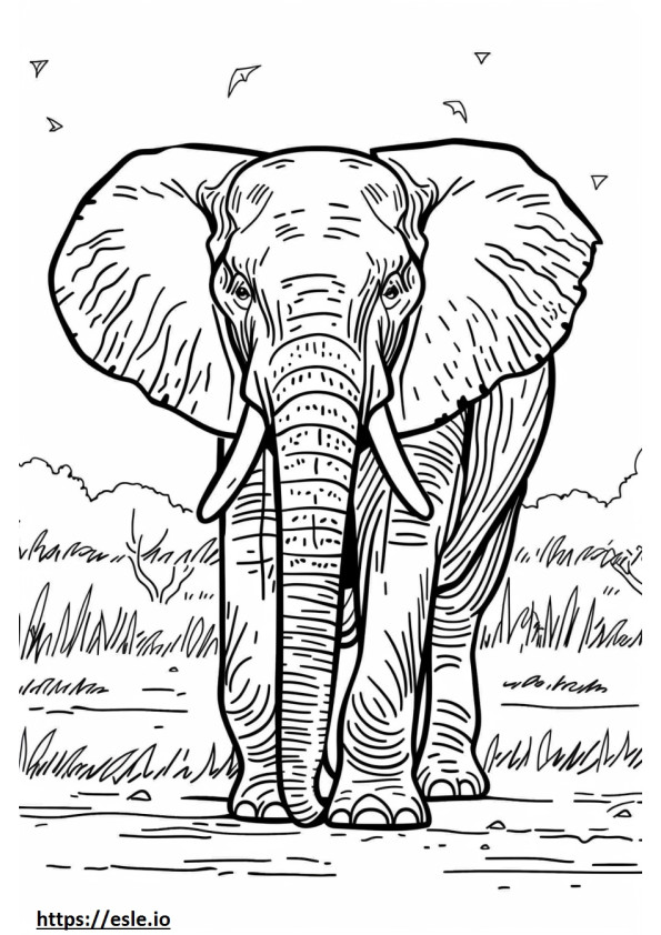 Desenho de elefante da floresta africana para colorir