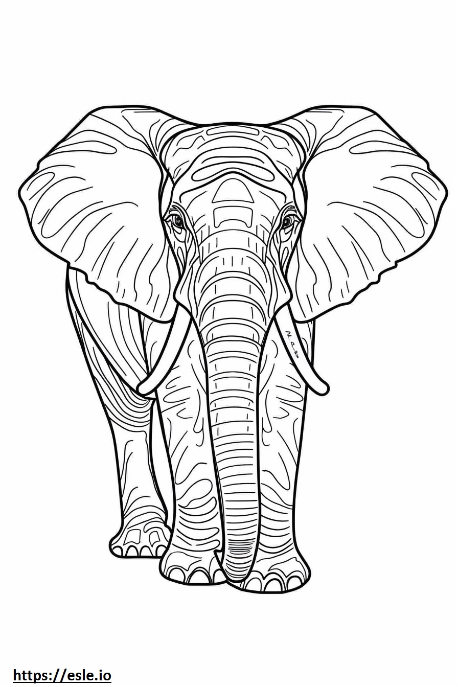 Coloriage Éléphant de forêt d'Afrique mignon à imprimer