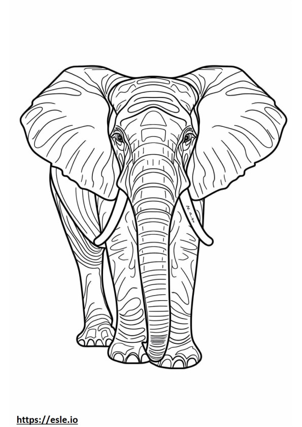 Elefant african de pădure drăguț de colorat
