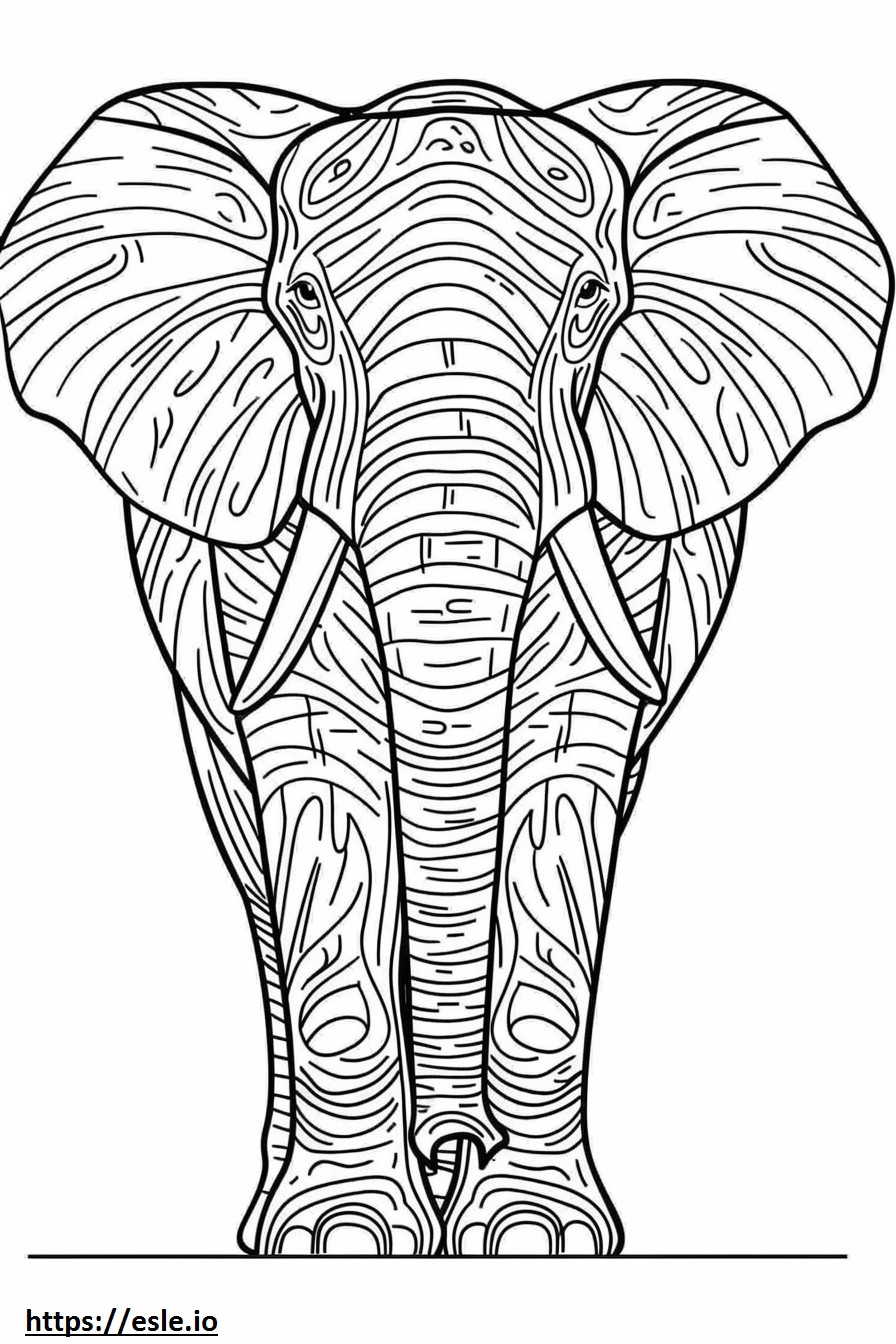 Afrikanischer Waldelefant süß ausmalbild