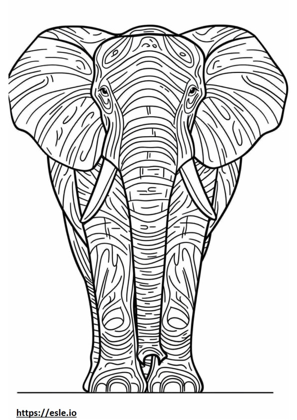 Elefant african de pădure drăguț de colorat