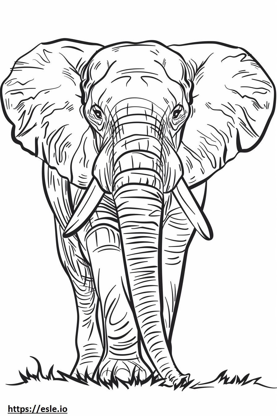 Coloriage Éléphant de forêt d'Afrique mignon à imprimer