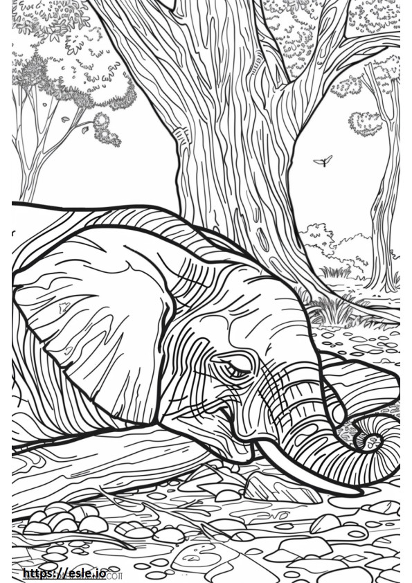 Elefante da floresta africana dormindo para colorir