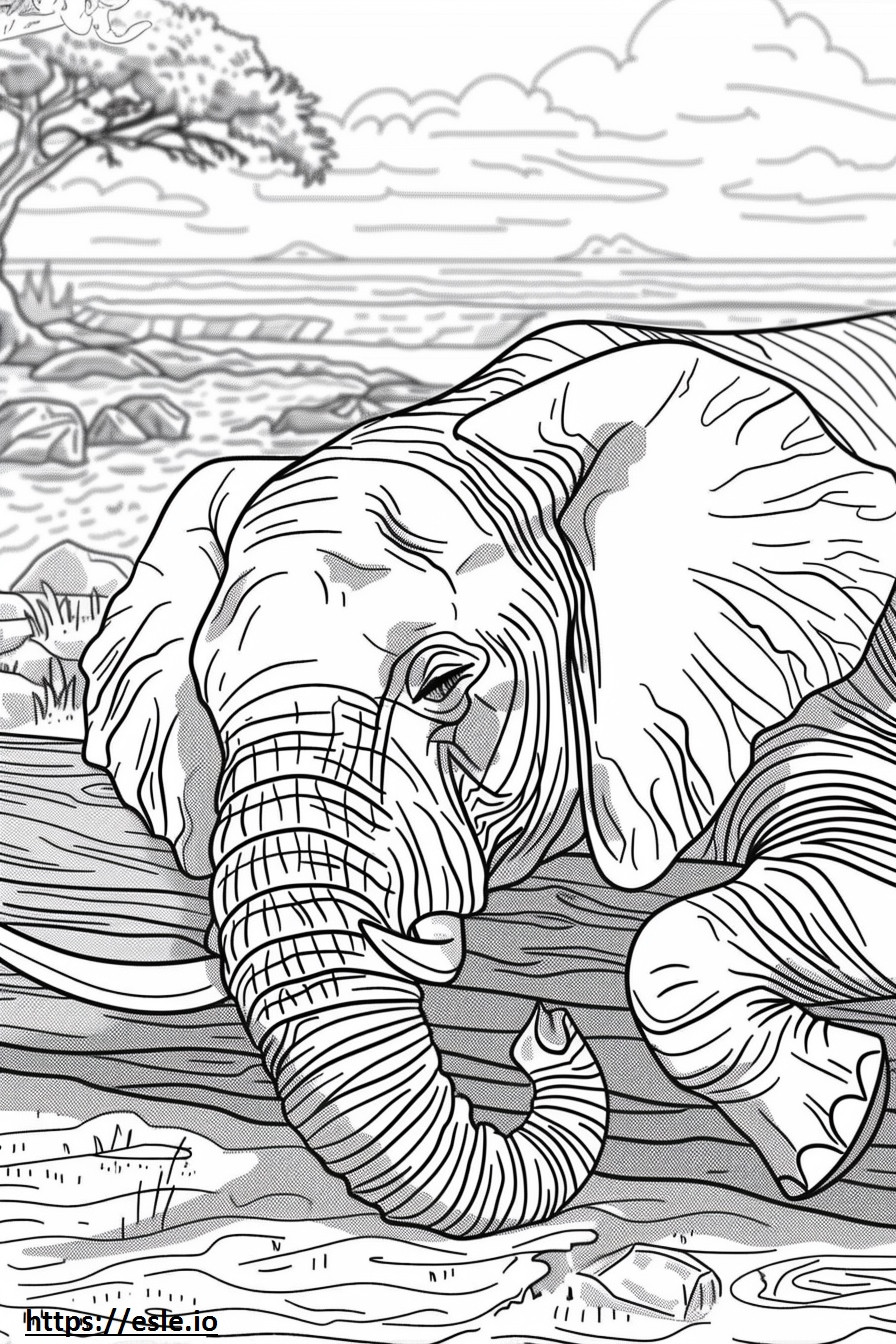Elefante africano del bosque durmiendo para colorear e imprimir