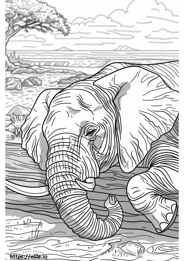 Gajah Hutan Afrika Tidur gambar mewarnai