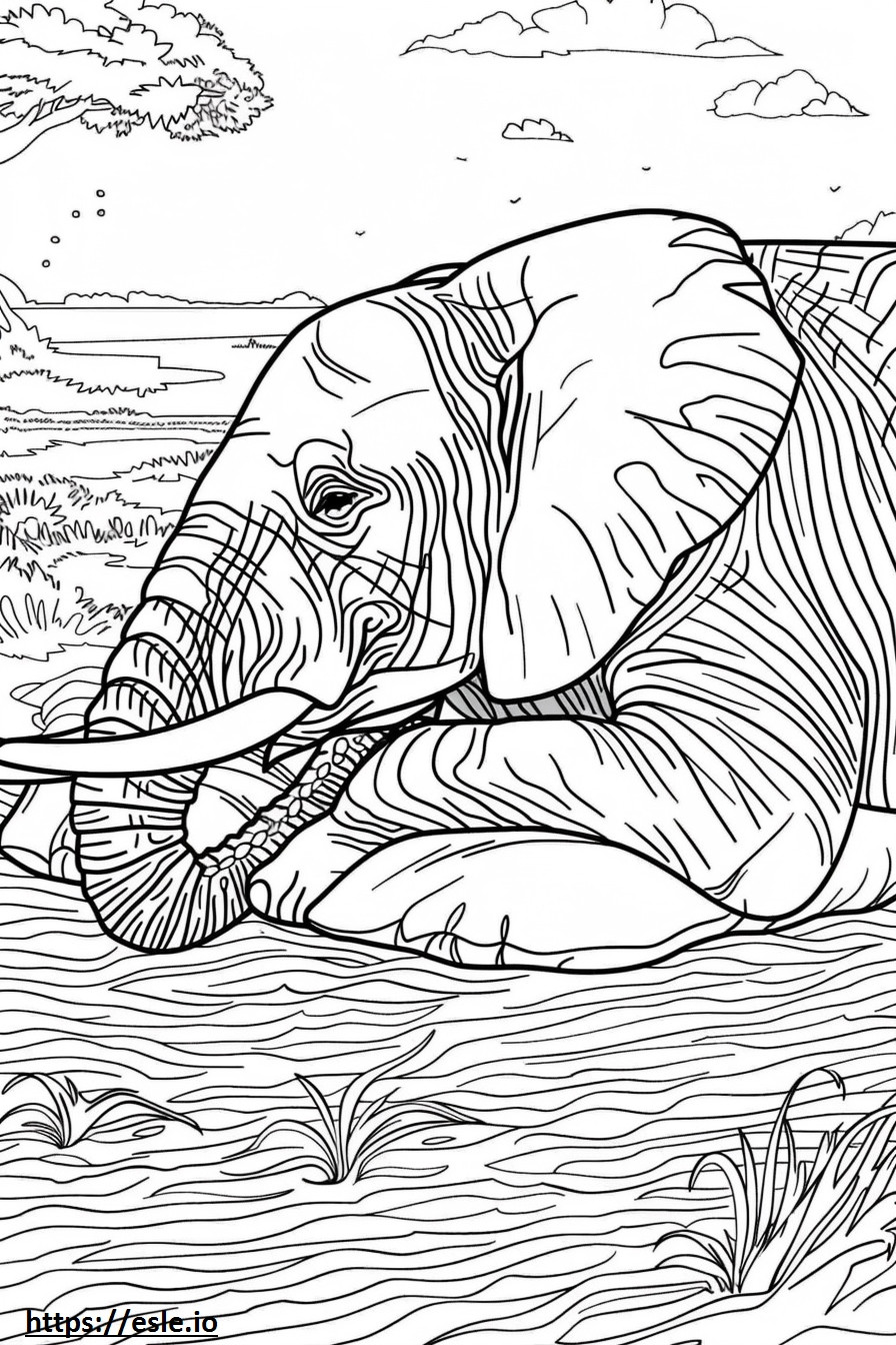 眠っているアフリカ森林ゾウ ぬりえ - 塗り絵