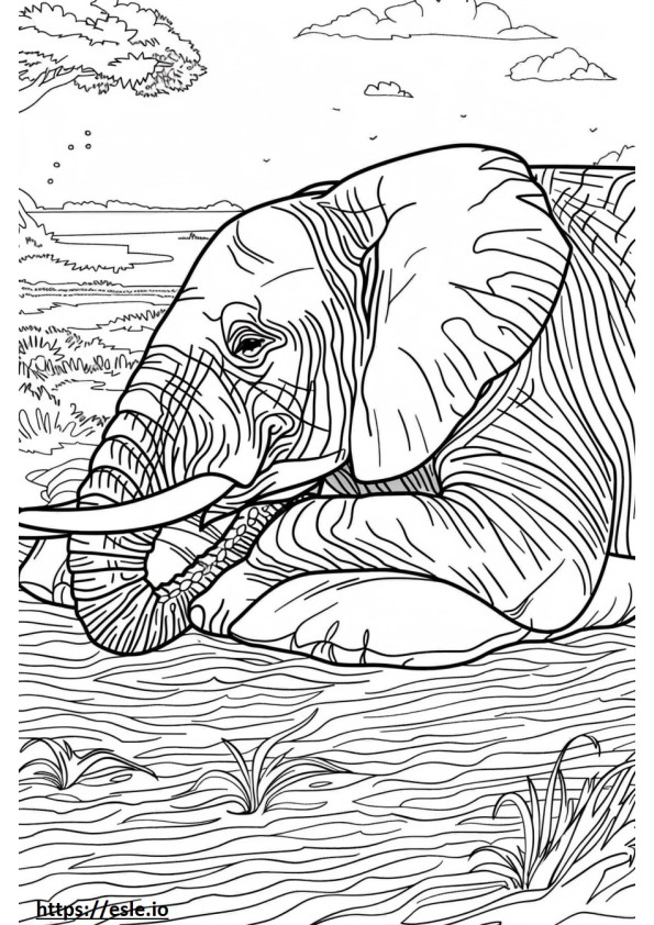 Afrykański słoń leśny śpi kolorowanka