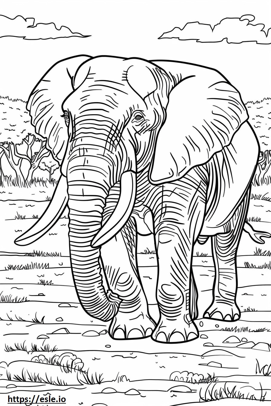 Bawiący się afrykański słoń leśny kolorowanka