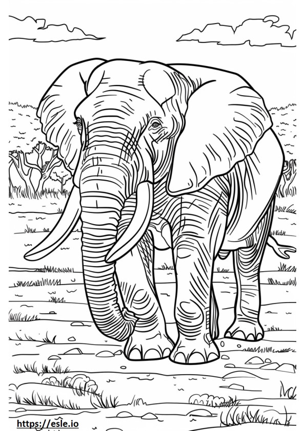 Elefante da floresta africana brincando para colorir
