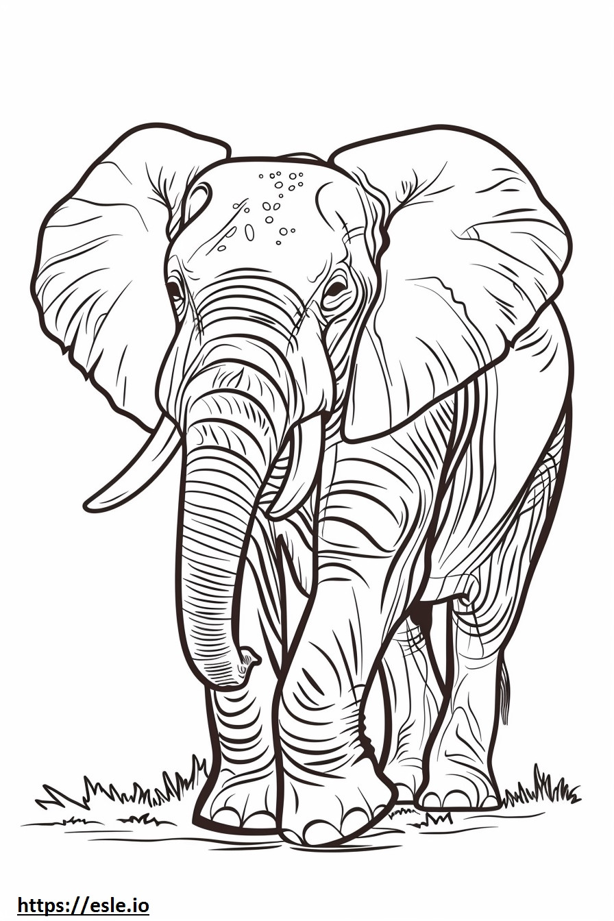 Coloriage Éléphant de forêt africaine Kawaii à imprimer