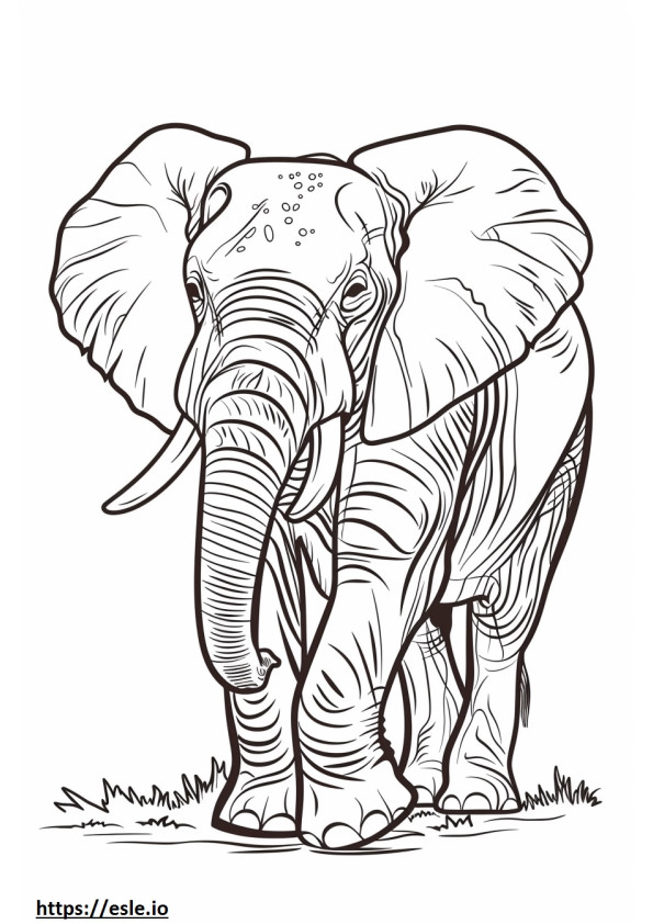 African Forest Elephant Kawaii coloring page