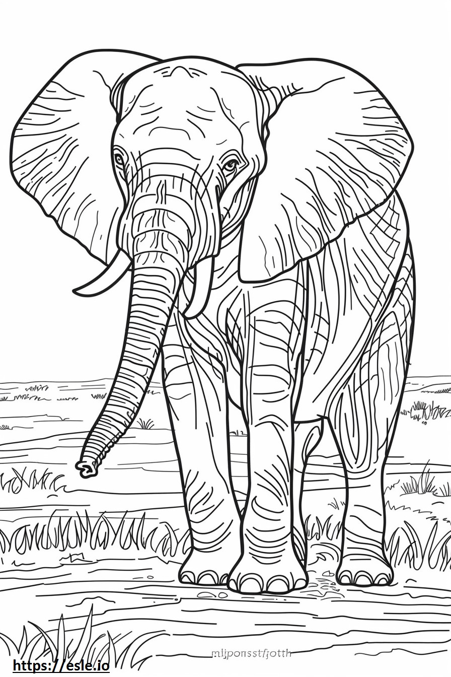 Elefante del bosque africano Kawaii para colorear e imprimir