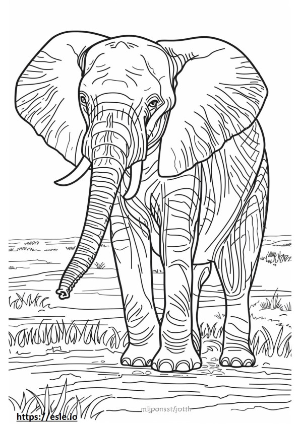 Elefante da floresta africana Kawaii para colorir