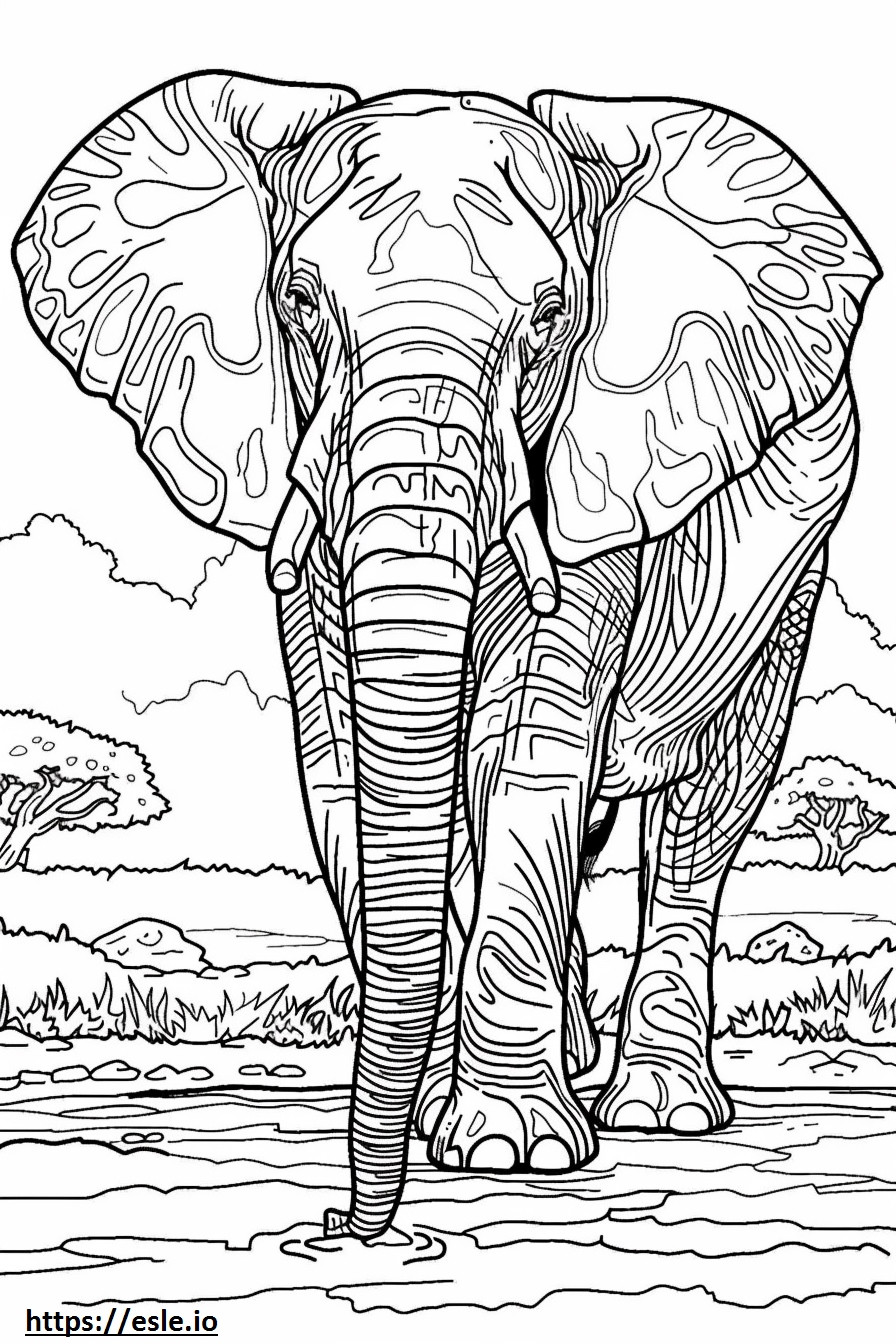 Amichevole con gli elefanti africani della foresta da colorare