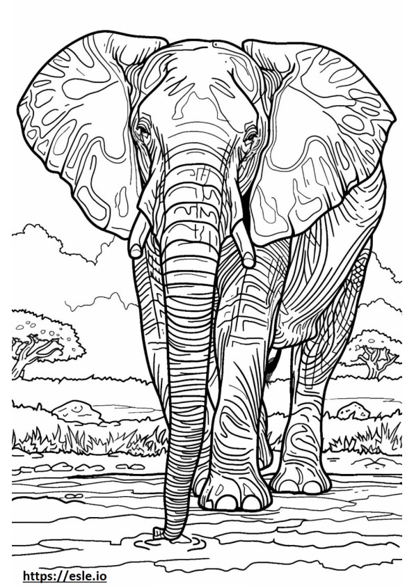 Apto para elefantes del bosque africano para colorear e imprimir