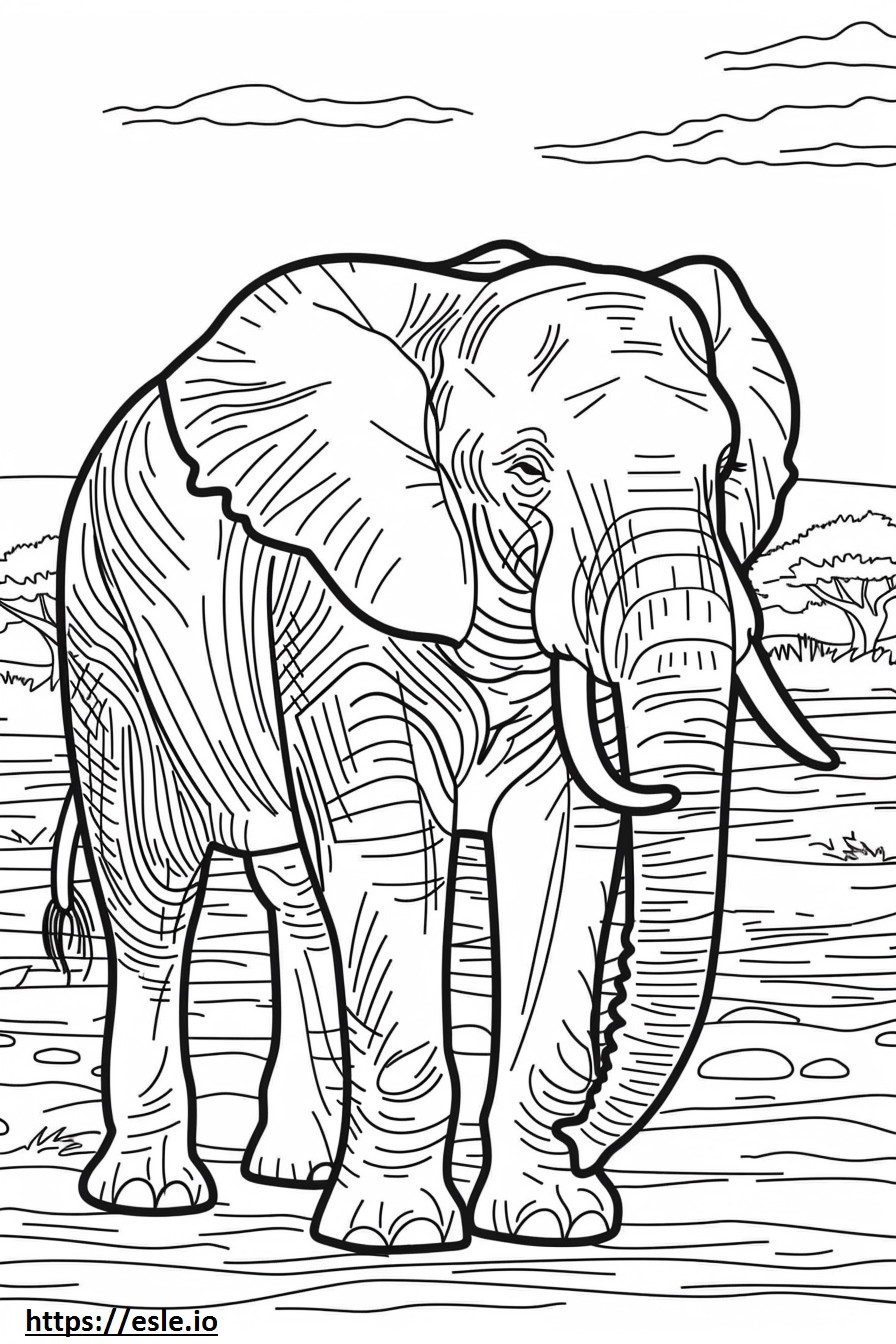Amigável ao Elefante da Floresta Africana para colorir