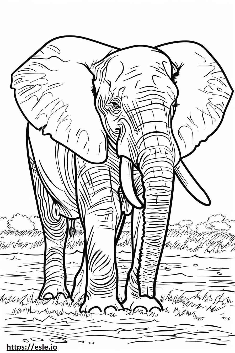 African Forest Elephant Friendly coloring page