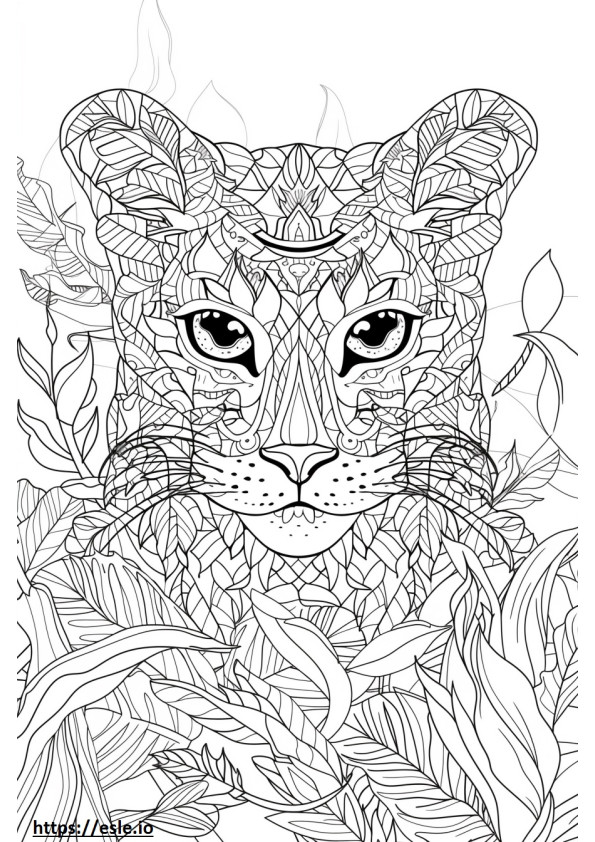 Cara de gato dourado africano para colorir