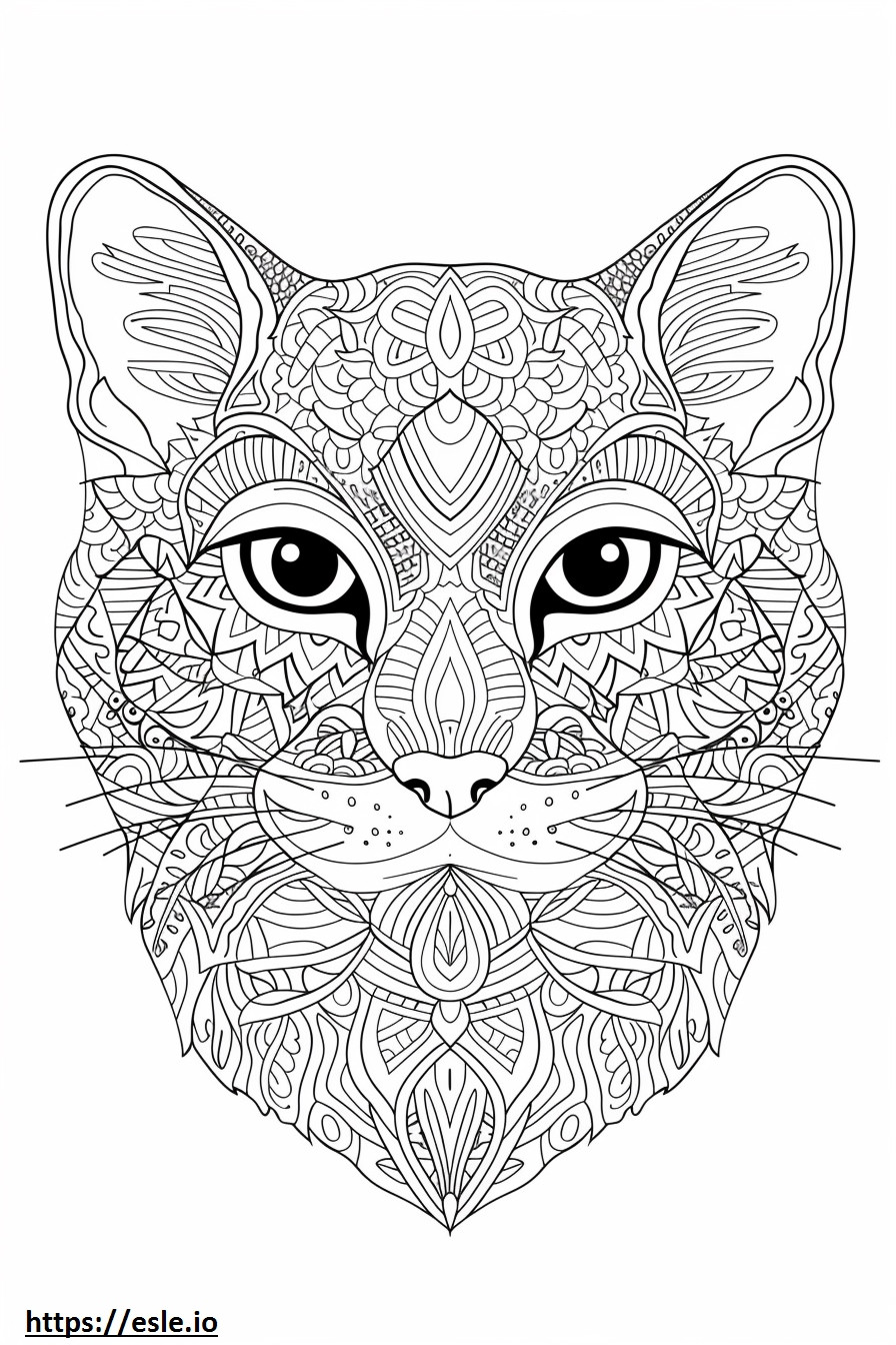 Cara de gato dorado africano para colorear e imprimir